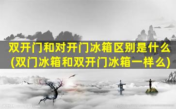 双开门和对开门冰箱区别是什么(双门冰箱和双开门冰箱一样么)