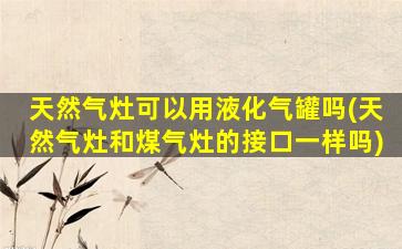 天然气灶可以用液化气罐吗(天然气灶和煤气灶的接口一样吗)
