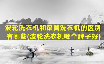 波轮洗衣机和滚筒洗衣机的区别有哪些(波轮洗衣机哪个牌子好)