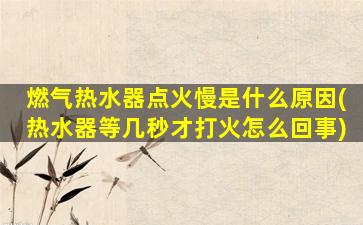 燃气热水器点火慢是什么原因(热水器等几秒才打火怎么回事)