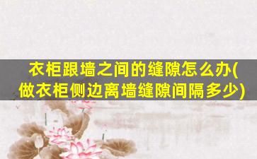 衣柜跟墙之间的缝隙怎么办(做衣柜侧边离墙缝隙间隔多少)