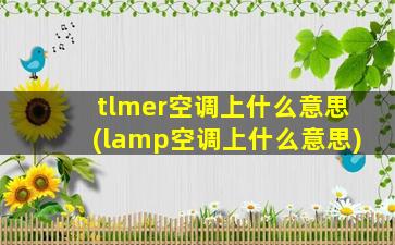 tlmer空调上什么意思(lamp空调上什么意思)