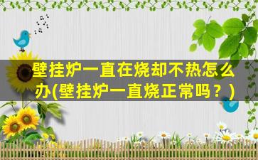壁挂炉一直在烧却不热怎么办(壁挂炉一直烧正常吗？)