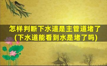 怎样判断下水道是主管道堵了(下水道能看到水是堵了吗)