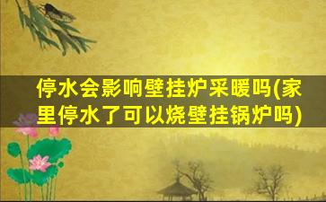 停水会影响壁挂炉采暖吗(家里停水了可以烧壁挂锅炉吗)