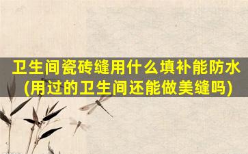 卫生间瓷砖缝用什么填补能防水(用过的卫生间还能做美缝吗)