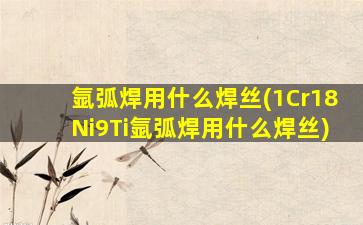 氩弧焊用什么焊丝(1Cr18Ni9Ti氩弧焊用什么焊丝)