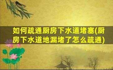 如何疏通厨房下水道堵塞(厨房下水道地漏堵了怎么疏通)