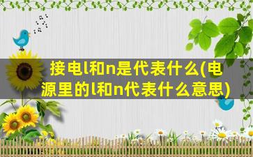 接电l和n是代表什么(电源里的l和n代表什么意思)