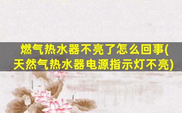 燃气热水器不亮了怎么回事(天然气热水器电源指示灯不亮)