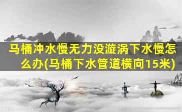 马桶冲水慢无力没漩涡下水慢怎么办(马桶下水管道横向15米)
