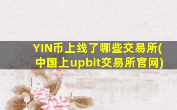 YIN币上线了哪些交易所(中国上upbit交易所官网)