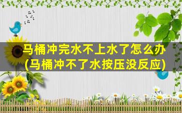 马桶冲完水不上水了怎么办(马桶冲不了水按压没反应)