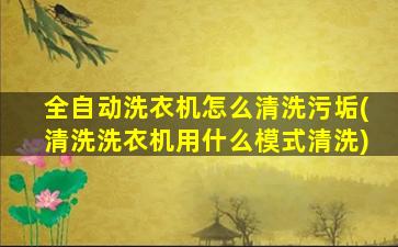 全自动洗衣机怎么清洗污垢(清洗洗衣机用什么模式清洗)