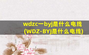 wdzc一byj是什么电线(WDZ-BYJ是什么电线)