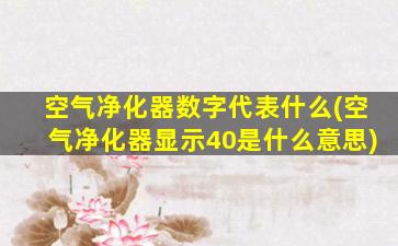 空气净化器数字代表什么(空气净化器显示40是什么意思)
