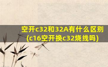 空开c32和32A有什么区别(c16空开换c32烧线吗)