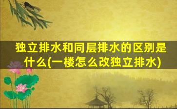 独立排水和同层排水的区别是什么(一楼怎么改独立排水)