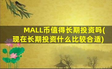 MALL币值得长期投资吗(现在长期投资什么比较合适)