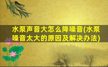 水泵声音大怎么降噪音(水泵噪音太大的原因及解决办法)