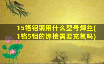 15铬钼钢用什么型号焊丝(1铬5钼的焊接需要充氩吗)