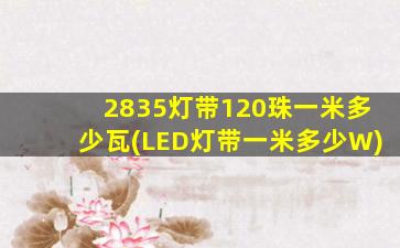 2835灯带120珠一米多少瓦(LED灯带一米多少W)
