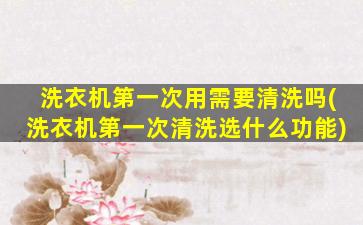 洗衣机第一次用需要清洗吗(洗衣机第一次清洗选什么功能)