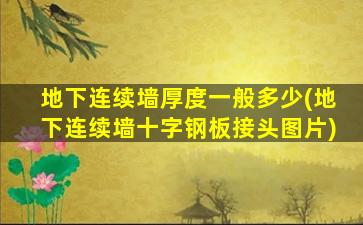 地下连续墙厚度一般多少(地下连续墙十字钢板接头图片)