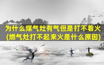 为什么煤气灶有气但是打不着火(燃气灶打不起来火是什么原因)