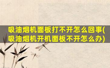 吸油烟机面板打不开怎么回事(吸油烟机开机面板不开怎么办)
