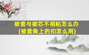 被套与被芯不相粘怎么办(被套角上的扣怎么用)