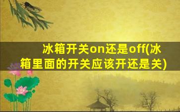 冰箱开关on还是off(冰箱里面的开关应该开还是关)