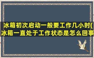 冰箱初次启动一般要工作几小时(冰箱一直处于工作状态是怎么回事)