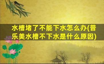 水槽堵了不能下水怎么办(普乐美水槽不下水是什么原因)