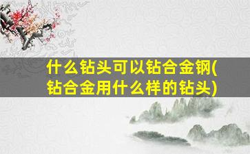 什么钻头可以钻合金钢(钻合金用什么样的钻头)