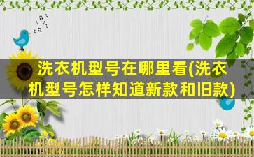 洗衣机型号在哪里看(洗衣机型号怎样知道新款和旧款)