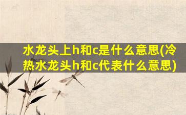 水龙头上h和c是什么意思(冷热水龙头h和c代表什么意思)