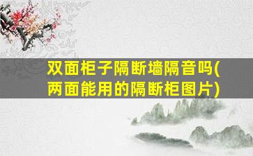 双面柜子隔断墙隔音吗(两面能用的隔断柜图片)