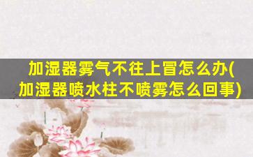 加湿器雾气不往上冒怎么办(加湿器喷水柱不喷雾怎么回事)