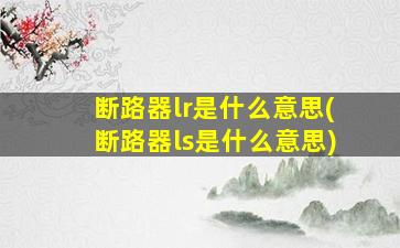 断路器lr是什么意思(断路器ls是什么意思)