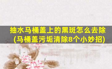 抽水马桶盖上的黑斑怎么去除(马桶盖污垢清除8个小妙招)