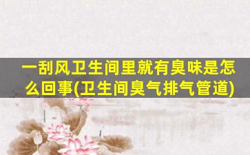 一刮风卫生间里就有臭味是怎么回事(卫生间臭气排气管道)