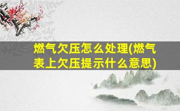 燃气欠压怎么处理(燃气表上欠压提示什么意思)
