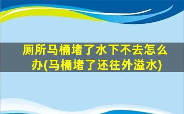 厕所马桶堵了水下不去怎么办(马桶堵了还往外溢水)