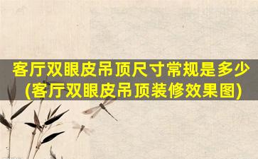 客厅双眼皮吊顶尺寸常规是多少(客厅双眼皮吊顶装修效果图)