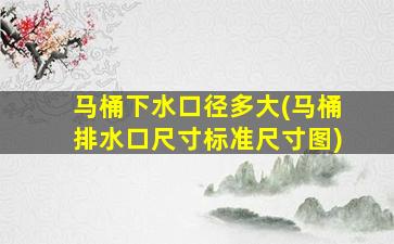 马桶下水口径多大(马桶排水口尺寸标准尺寸图)