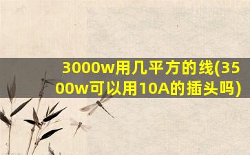 3000w用几平方的线(3500w可以用10A的插头吗)