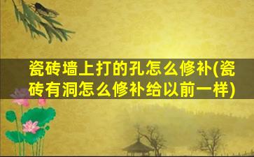 瓷砖墙上打的孔怎么修补(瓷砖有洞怎么修补给以前一样)