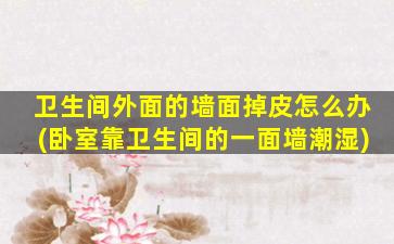 卫生间外面的墙面掉皮怎么办(卧室靠卫生间的一面墙潮湿)