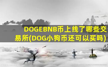 DOGEBNB币上线了哪些交易所(DOG小狗币还可以买吗)